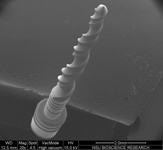 Scanning Electron Microscopic Image